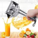 Manual Hand Press Fruit Juicer
